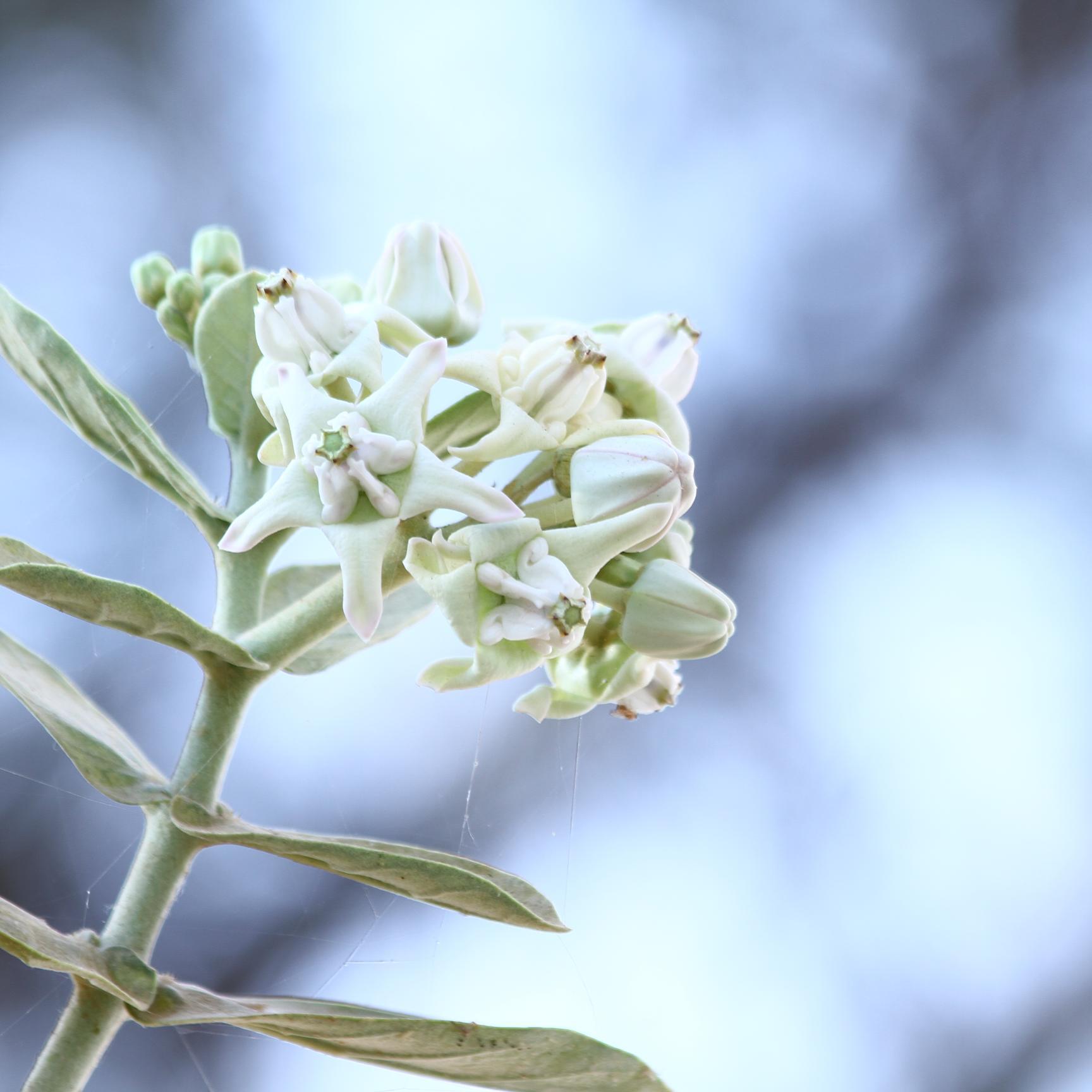 ak143ntr's profile picture. 