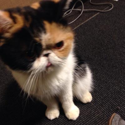 お気に入りのコーデをツイートしていきます♡あなたのお気に入りをみつけたらコーデの参考にしてね♪
