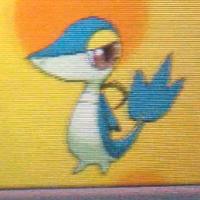 Shinyhunter110 (@shinyash110) 's Twitter Profile
