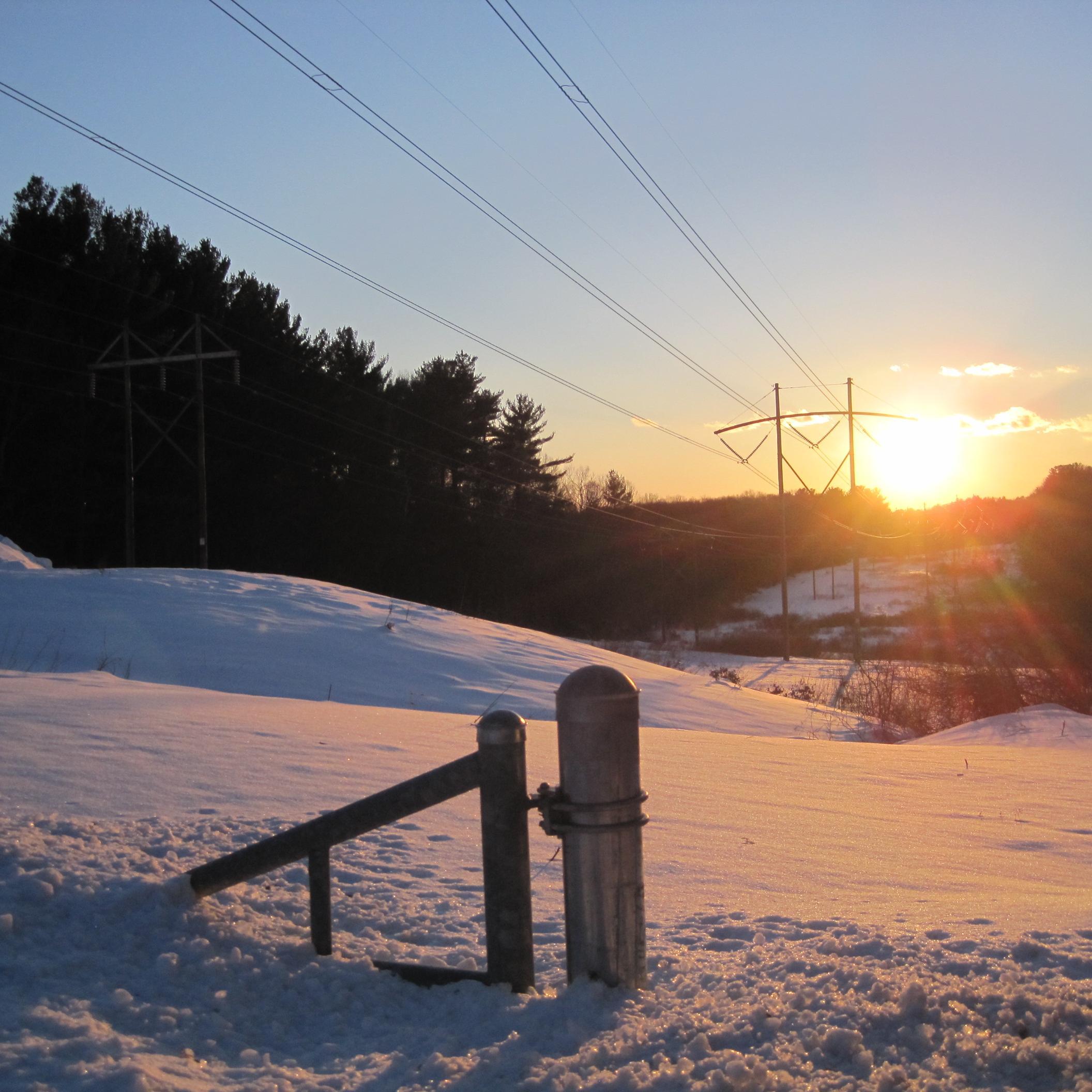 cideraid's profile picture. 