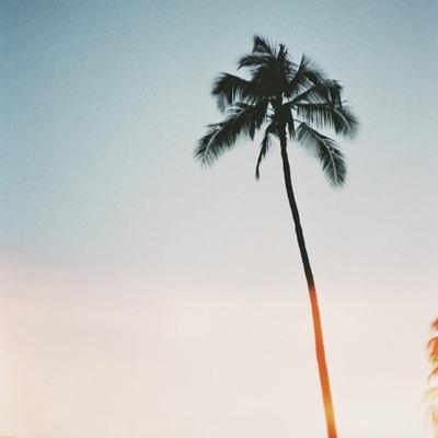 cjpetr's profile picture. #bitcoin