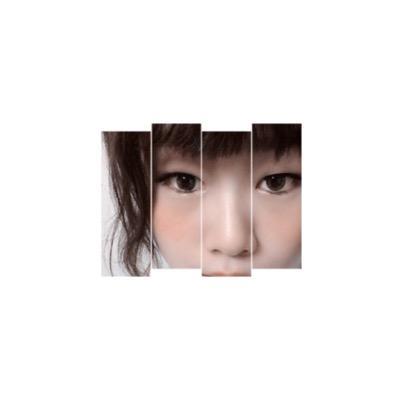 ソードアート・オンライン/ブラック・ブレット/ やはり俺の青春ラブコメは間違っている。/ 金色のガッシュ！！/ONE PIECE/テニスの王子様 /ニセコイ/進撃の巨人/フェアリーテイル