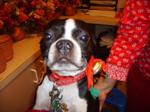 Scrodin's profile picture. 