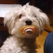 olybor73's profile image