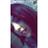 mariash116's profile image