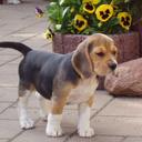 Lucas Eberle - @LuciCry14 - Twitter