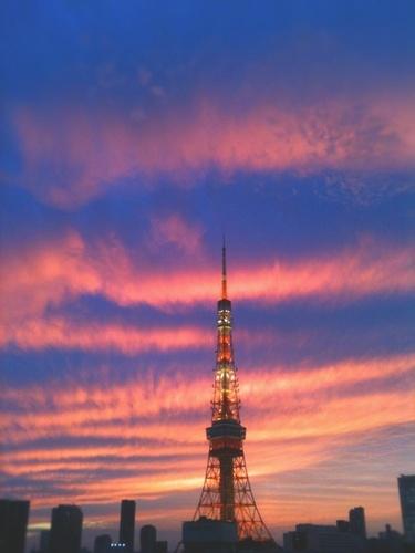 甲子園歴代出場校
春、夏