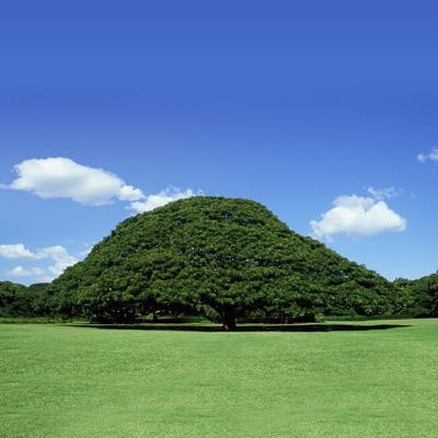 好きなこと食べること寝ること遊ぶこと。FPSします。