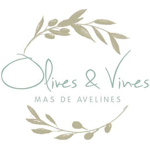 Olives & Vines offers luxury accommodation in the South of France. Stay at our beautifully designed holiday house & boutique hotel near Le Castellet.