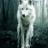 behind_the_door's profile image