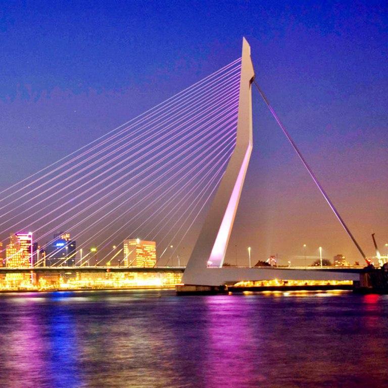 rotterdamweb_nl's profile picture. 