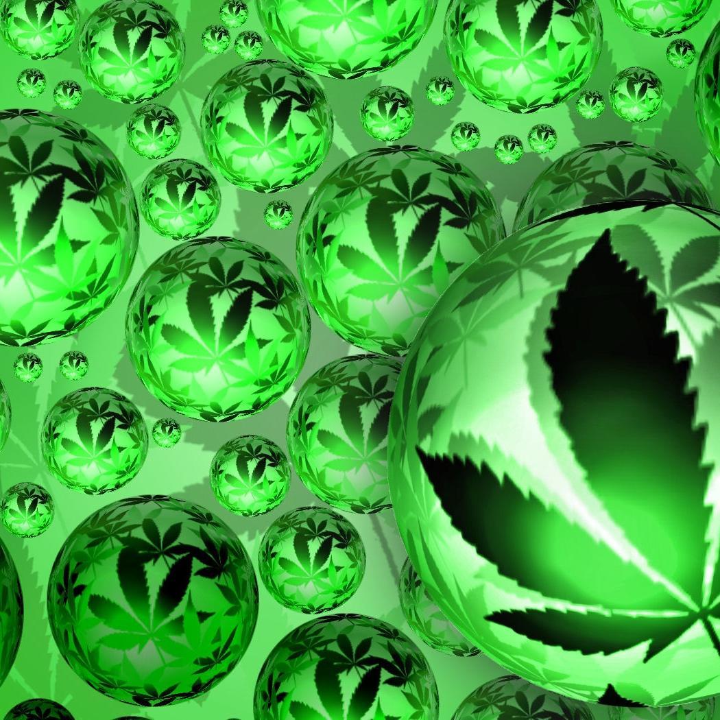 arncCR's profile picture. Si ta la chatte en feu appelle pas les pompiers, ouai je suis la pour ca appelle arnc ! 
#FierterAlgeriienne