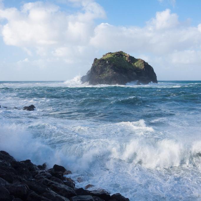 webtrafficflood's profile picture. 