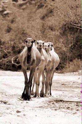 M777777715's profile picture. 