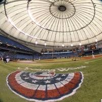 Shadow of Stadium(@StadiumShadow) 's Twitter Profile Photo