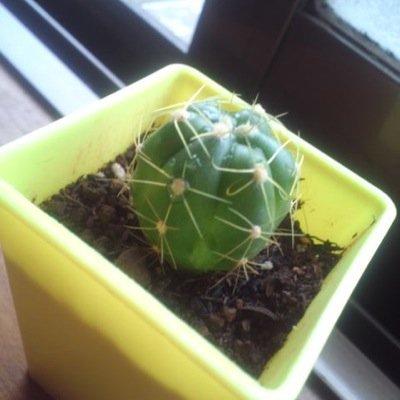 一生未紗を守り抜くこの胴体で