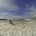 Samara Harrison - @HarrisonSamara - Twitter