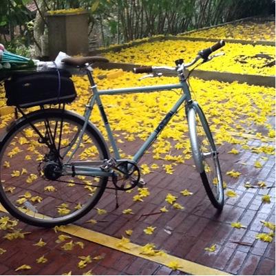 Apasionado por el ciclismo y la bici, por lo público y la cultura ciudadana. Ingeniero Administrador con especialización en análisis económico.