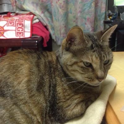 ゴルフ⛳️。🏌️‍♂️ 猫、日本酒、ワイン、ものづくり。 。考え工夫し最善策を練る難しき仕事をも好む。         製造業は重要。複合加工機での工程集約で時間を削る。 #頑張ろう能登