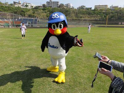 燕⚾️
YS#2896 #18 #17 #19 #33/T#2/B#21/
D#22/DB#80/E#84/LAD#17/NYM#34/CHC#18      　　　　　　　　　　　　　　　　　　　鳥さんは永遠のヒーロー
能見さんのワインドアップは美
　　　　　　　　　　　　ラグビー🏉　Novelbright🥒