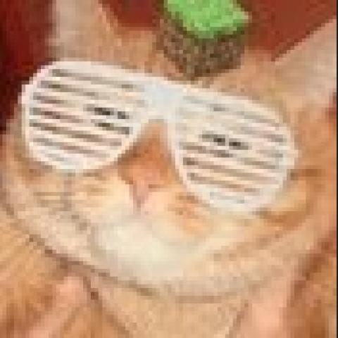 elwisyOMG's profile picture. 