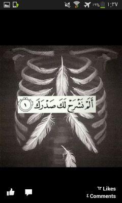 2d713326ced64fe's profile picture. تعلمت من حيااتي
ان لا اثق باحد ســـوى الله 
وان اودع من احببت في صمت
فانت تريد وانا اريد والله فعال لما يريد