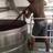 Banele_Vakele's profile image