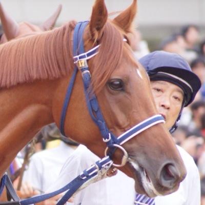 父ファルブラヴ、母セシルブルース、母父エルコンドルパサーの元競走馬アイムユアーズの非公式bot。