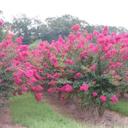 John Estill - @john_estill - Twitter