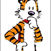 Undercover Tiger (@propilot123) Twitter profile photo