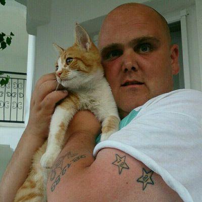 festa_wattie's profile picture. 