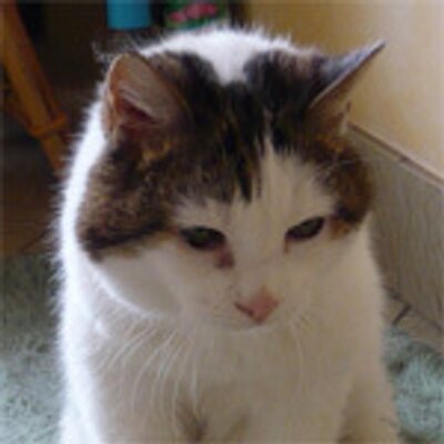 Mimine 息子2人を出産した病院では赤ちゃんの血液型を調べてくれないのでずっと知らなかったのだが明日の手術のため息子2の 血液検査があり パパと同じo型ということが判明 やっぱりという感じ 息子1は私と同じa型の匂いがするけど わからないーいつ調べ