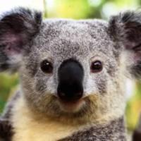 抱っこしたらモフモフ！可愛すぎる～！