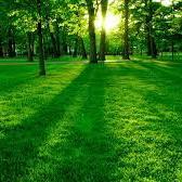 golozli's profile picture. 