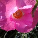 Delisa Smith - @SmithDelisa - Twitter