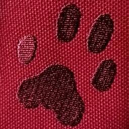 踊り狂っちゃえ      ((┏(^ω^┗)ﾎｲｻﾎｲｻ♪(┓^ω^)┛))ﾖｲｻﾖｲｻ♪