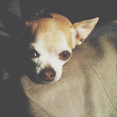 Profile Picture of Carly (@carlykuhn) on Twitter