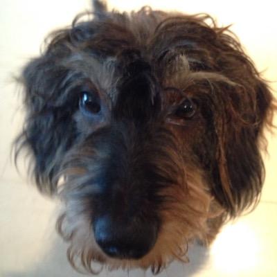 tre_roll's profile picture. 