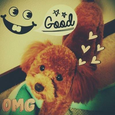 小野業2-3 ソフトテニス部A.only~9.18~♡