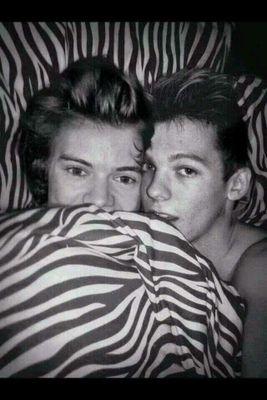 I'm a Narry Girl and I ship Larry Hardcore. I respect El and I like Blue and Pink. 586/1141