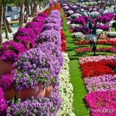 سبحان الله وبحمده سبحان الله العظيم✨