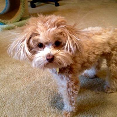 j_sherrell's profile picture. 