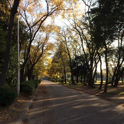 ワンピース フランキーの名言をつぶやいています。
