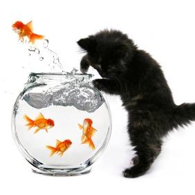 OpaOttsche's profile picture. 