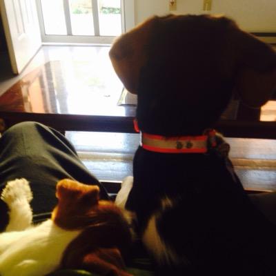 BrandonRoop2's profile picture. 