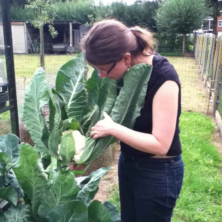 LieveDSmit's profile picture. Gepassioneerd door varkens, muziek en lekker eten / bemind door @mschuyten en Fien & Ferre / tweets zijn persoonlijk