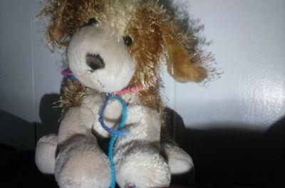Hey all Layla Stars here. I am a Actor on Daniellovesdogs22Productions
I do follow for follow