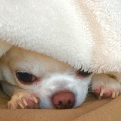 たまに信じられなくなっちゃうの・・・。何かわからない。共感した方はRTやフォローお願いします。