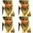 Kwon_icha's profile image
