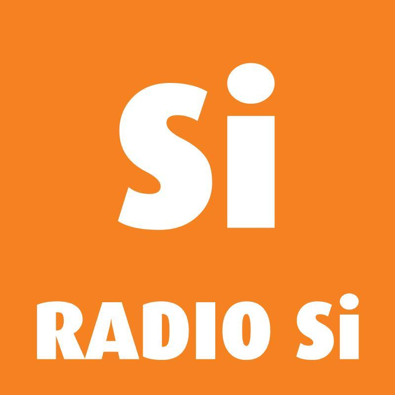 Radio Slovenia International je prvi in edini tujejezični radijski program v Sloveniji. Kot 4. nacionalni radijski program deluje v okviru RTV Slovenija.